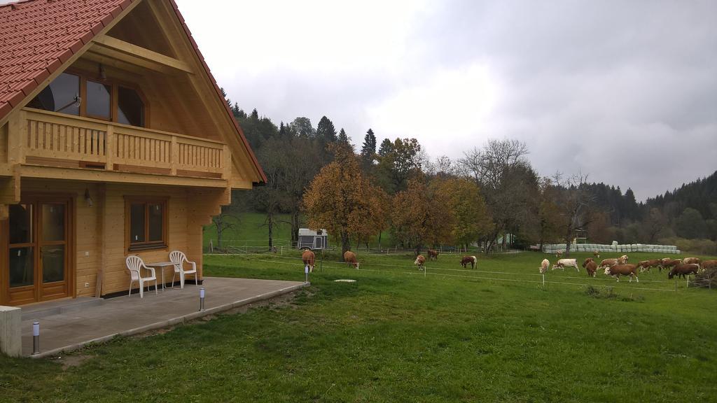 Ferienhaus Dorfruhe Sankt Stefan an der Gail Δωμάτιο φωτογραφία